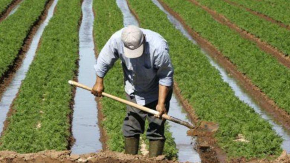 البرلمان يصادق على فصل لتسوية وجدولة ديون الفلاحين