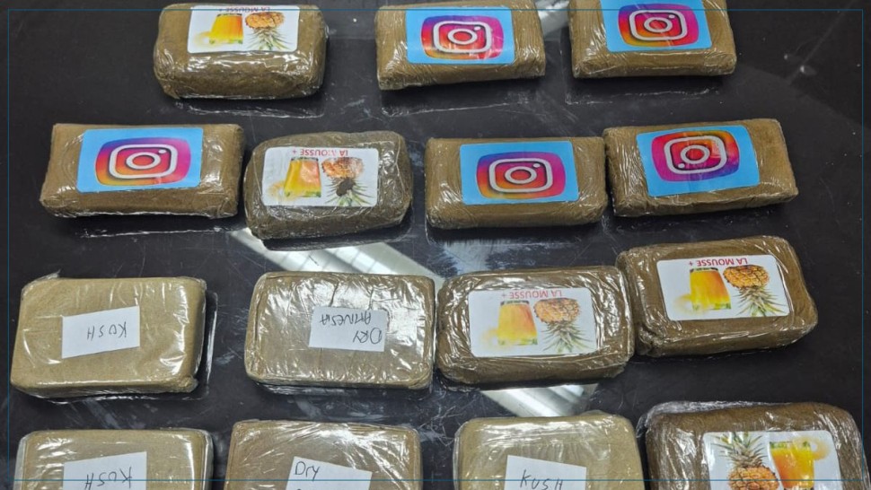 حجز أكثر من 420 كلغ من 'الزطلة' و ايقاف شخصين