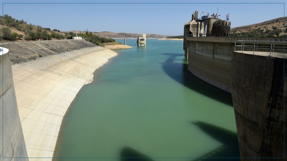 عبد الله الرابحي: نسبة السدود تقدر بـ29 بالمائة