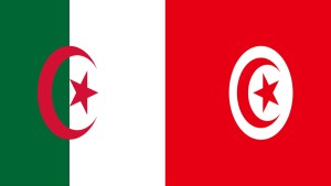 تونس تشارك في الدورة الرابعة للمؤتمر الإفريقي للمؤسسات الناشئة بالجزائر