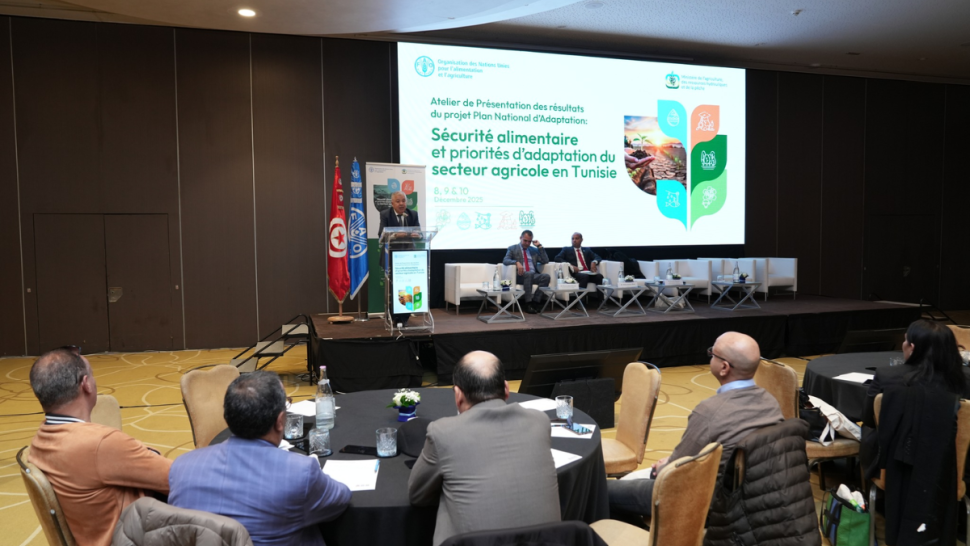 انطلاق أسبوع المخطّط الوطني للتكيّف مع التغيّرات المناخية