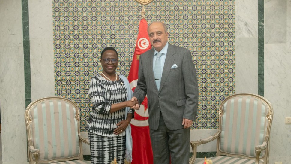 وزير الخارجية يلتقي المبعوثة الخاصة للاتحاد الإفريقي للمرأة والأمن والسلم