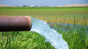 وزارة الفلاحة : تكليف أعوان محلّفين لمتابعة سرقات المياه