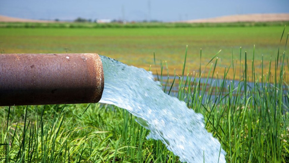 وزارة الفلاحة : تكليف أعوان محلّفين بمتابعة سرقات المياه