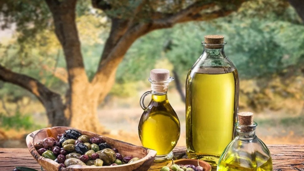 زبت الزيتون