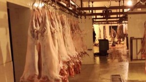 قصابو قبلي يشتكون من توقيت الذبح بالمسلخ والبلدية تفتح باب الحوار