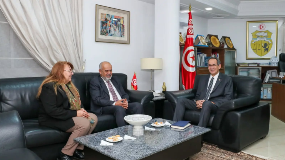 وزارة التعليم العالي تبحث تعزيز التعاون العربي في مجال العلم المفتوح