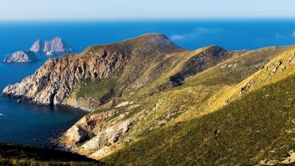 مدير حماية الشريط الساحلي: العمل جار لإصدار أوامر إحداث المحميات البحرية بالرائد الرسمي