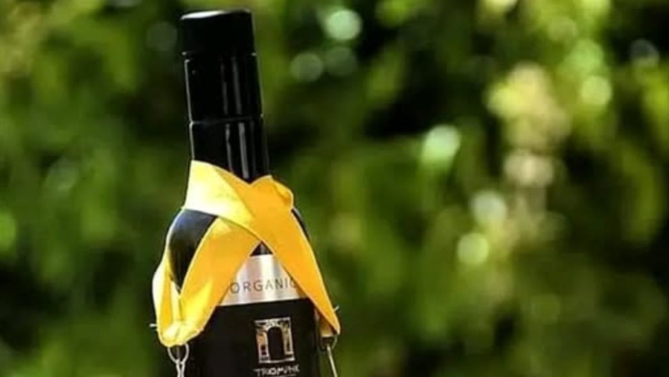 باجة : زيت زيتون 'توكابر' يحصد ذهبية أفضل زيت في العالم للمرة العاشرة