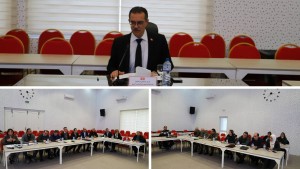 ماذا في اجتماع اللجنة الوطنية لليقظة ومكافحة الجراد؟