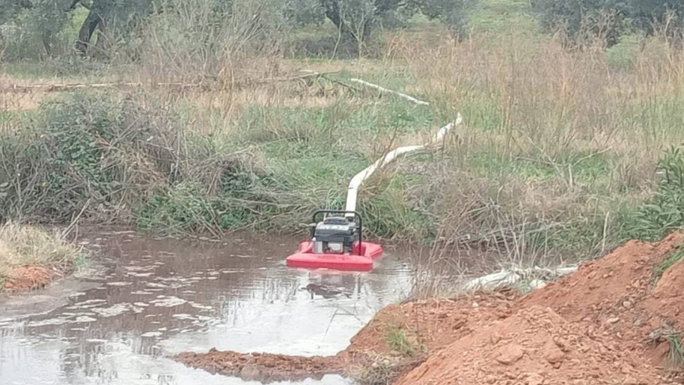 سليانة مرجين