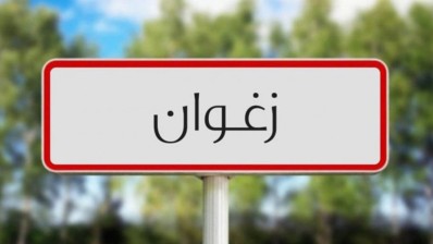 ولاية زغوان