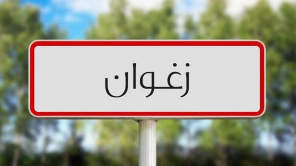 ولاية زغوان