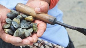 صيدالقفالة