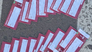 كأس أمم أفريقيا