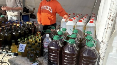 زيت الزيتون