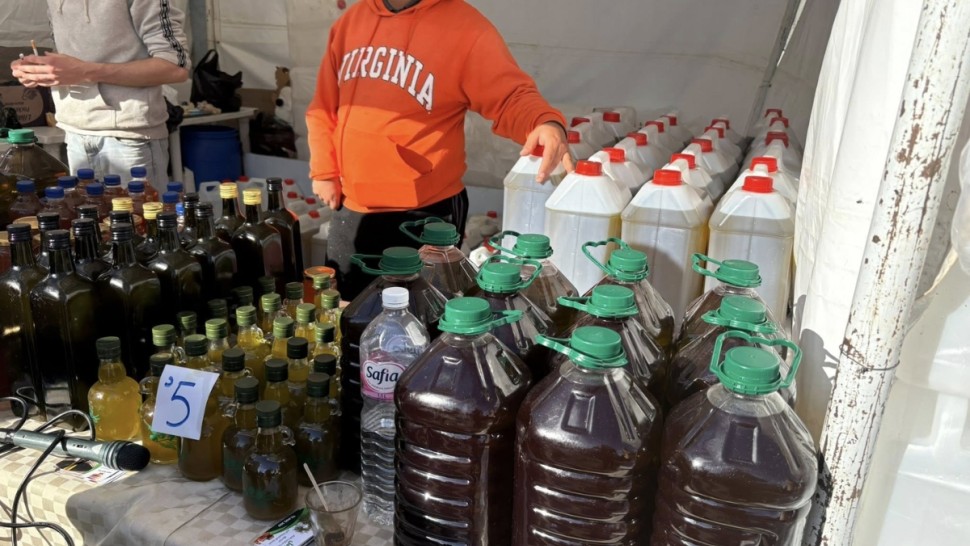 زيت الزيتون