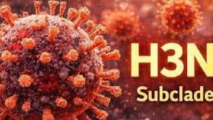 رياض دغفوس : المتحوّر 'K' لا يُشكّل خطورة أكبر من غيره