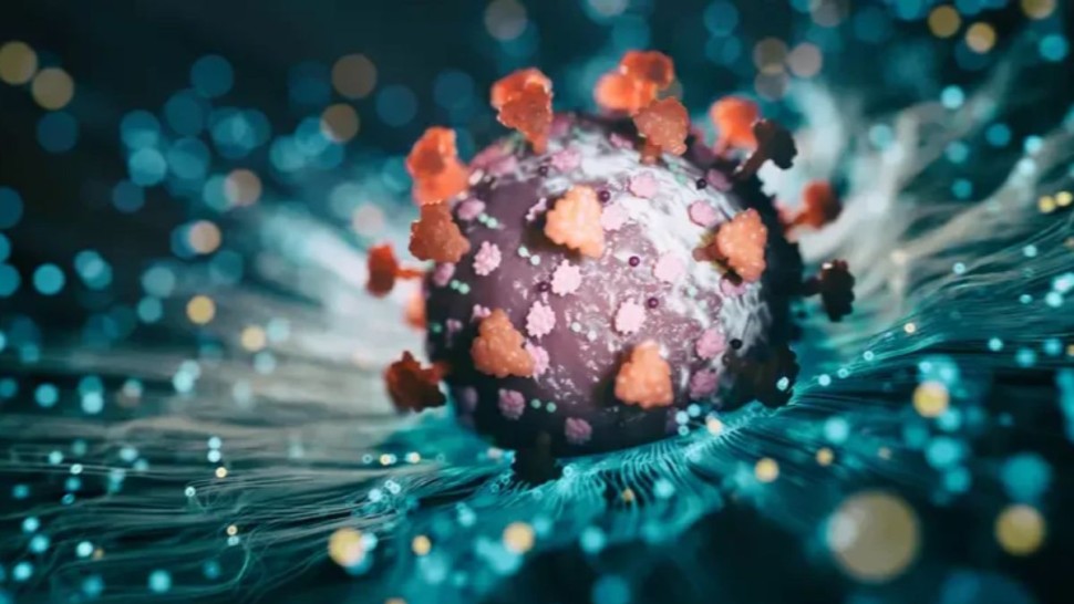 رياض دغفوس : المتحوّر 'K' لا يُشكّل خطورة أكبر من غيره