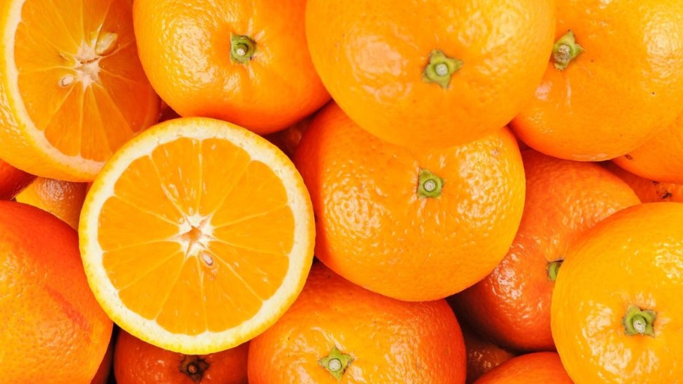 تونس تطلق موسم تصدير البرتقال المالطي إلى فرنسا وتستهدف رفع الكميات المصدّرة