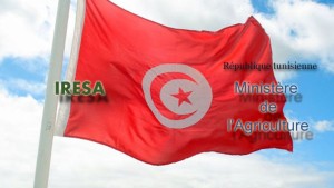 مؤسسة البحث والتعليم العالي الفلاحي تشرع في مراجعة منظومة التكوين