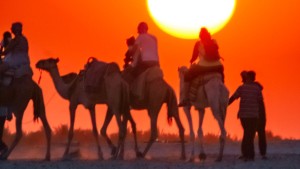 قبلي: نحو 2000 سائح يقضون ليلة رأس السنة بمختلف الوحدات السياحية