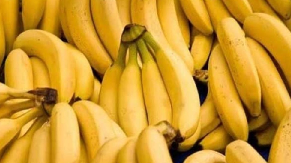 الرياحي: أسعار الغلال سترتفع تبعا للأثمان الخيالية للموز