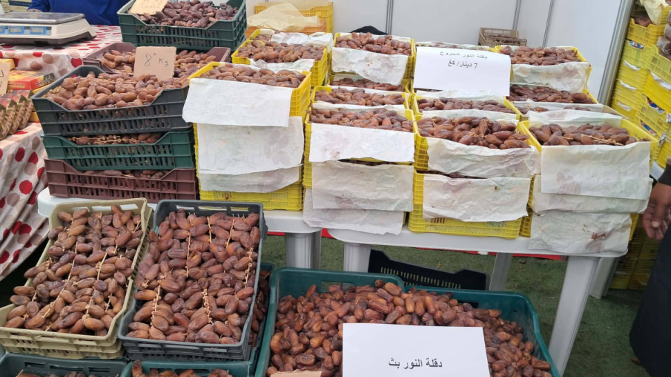 نابل: افتتاح نقطة بيع تمور من المنتج إلى المستهلك