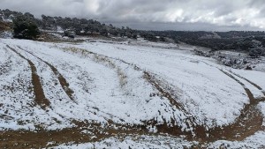 ولاية القصرين