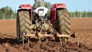 نابل: استبشار الفلاحين بنزول الغيث النافع