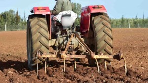 نابل: استبشار الفلاحين بنزول الغيث النافع