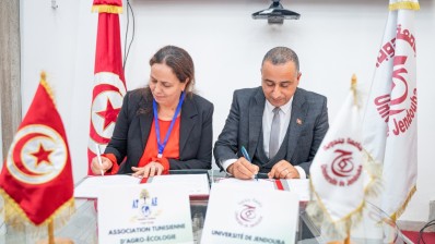 جامعة جندوبة