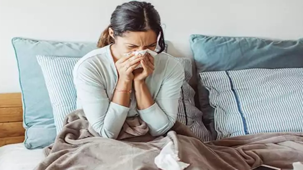 النزلة الموسمية