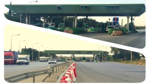 18 جانفي: إنطلاق برنامج الغراسات بشبكة الطرقات السيارة