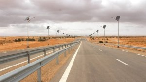 الأحد القادم: انطلاق البرنامج الخاص بتشجير الطرقات السيارة