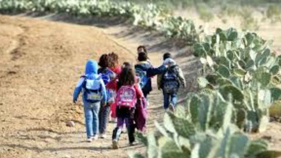 المجلس المحلي بفوسانة: مطالب عاجلة بتوفير نقل مدرسي آمن لتلاميذ عين جنان