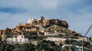 امازيغ تونس