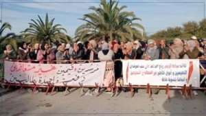 وقفة احتجاجية للمرشدين التطبيقيين وأعوان التأطير الناجحين وغير المتعاقدين