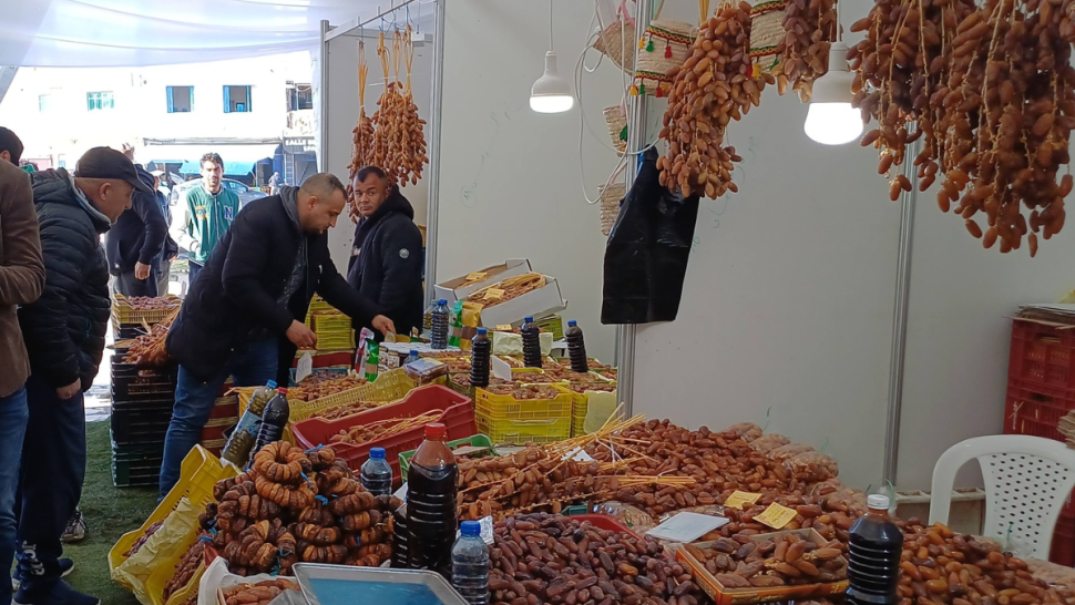 بنزرت: افتتاح نقطة لبيع التمور من المنتج إلى المستهلك