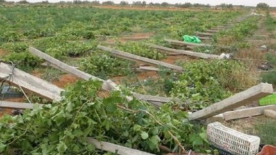 التمديد في فترة الاكتتاب بصندوق تعويض الأضرار الفلاحية