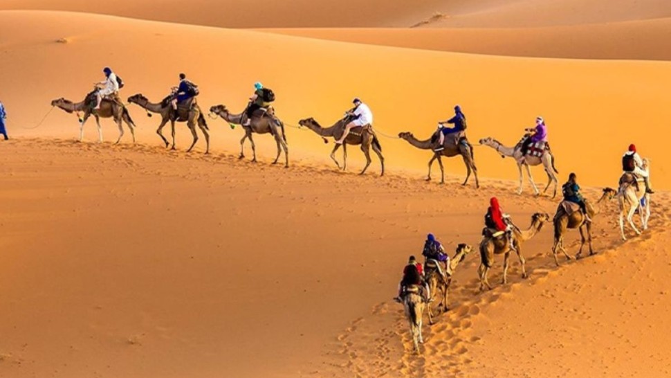 في 2024: القطاع السياحي ساهم بـ 5.2 % في القيمة المضافة للإقتصاد