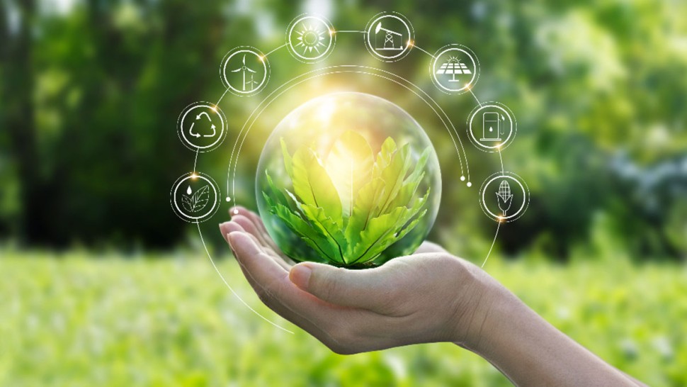 وكالة النهوض بالاستثمارات الفلاحية