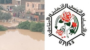 تضامن اجتماعي