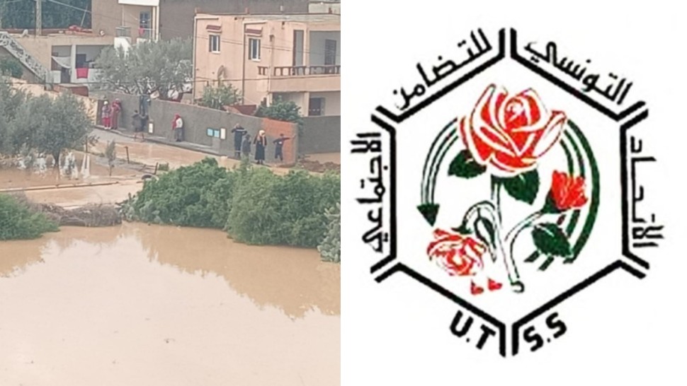 تضامن اجتماعي