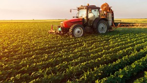 معتمدية منزل تميم