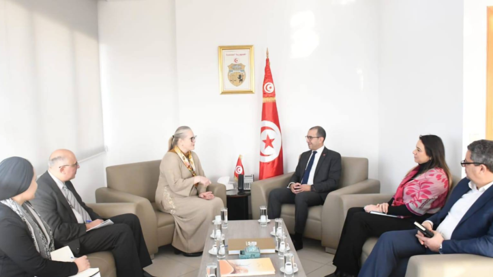 تونس والنرويج تبحثان تعزيز الاستثمارات في قطاع الطاقات المتجددة