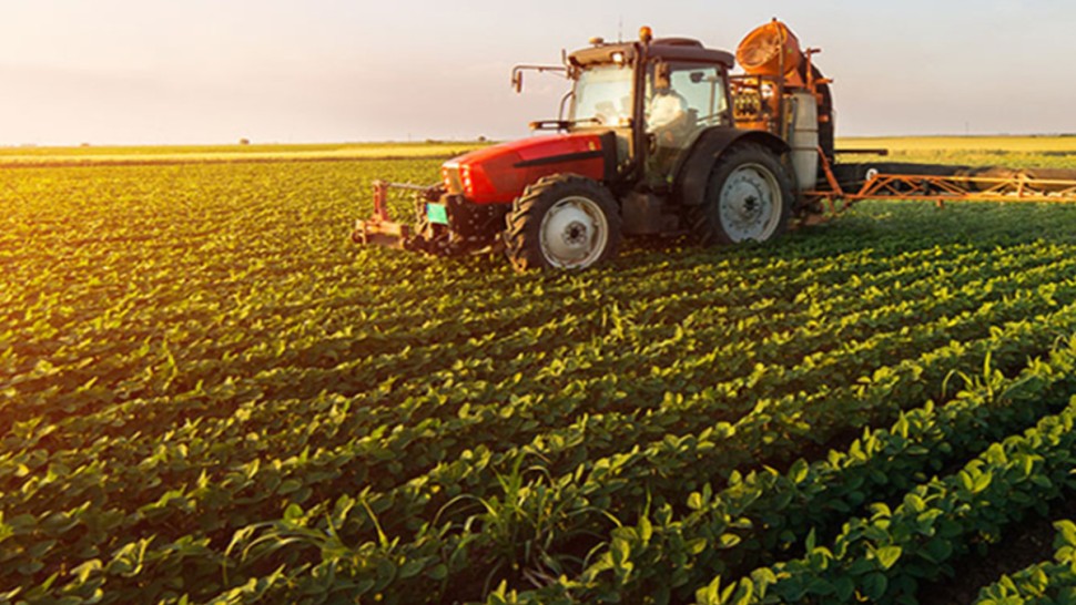 معتمدية منزل تميم