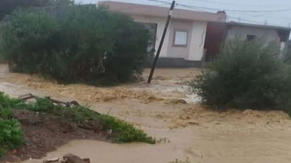 اتحاد الفلاحة بنابل: تسجيل أضرار كبيرة في زراعات الفراولة ونفوق 300 رأس ماشية في قربة