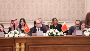 تونس تدعو إلى الاستفادة من المبادرات الإقليمية والدولية في تكنولوجيات الاتصال الحديثة