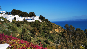 منع صعود الحافلات والشاحنات الثقيلة إلى هضبة سيدي بوسعيد بداية من الغد